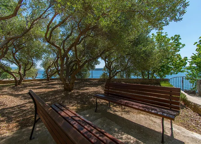 Ana Apartman Maslenica